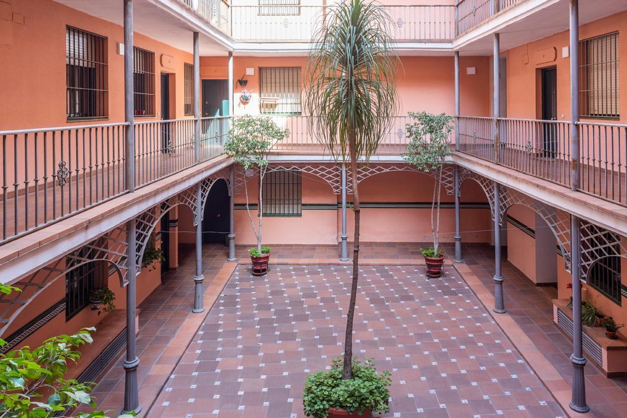 Alohamundi Arjona II, Seville